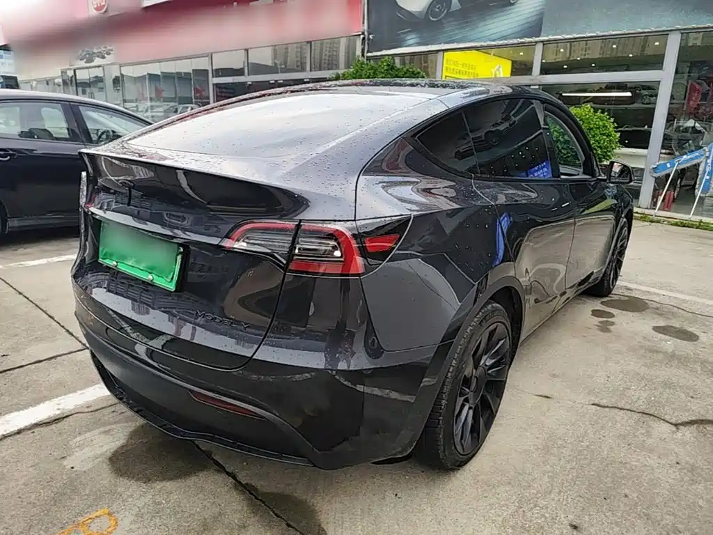 Tesla Model Y — миниатюра 7