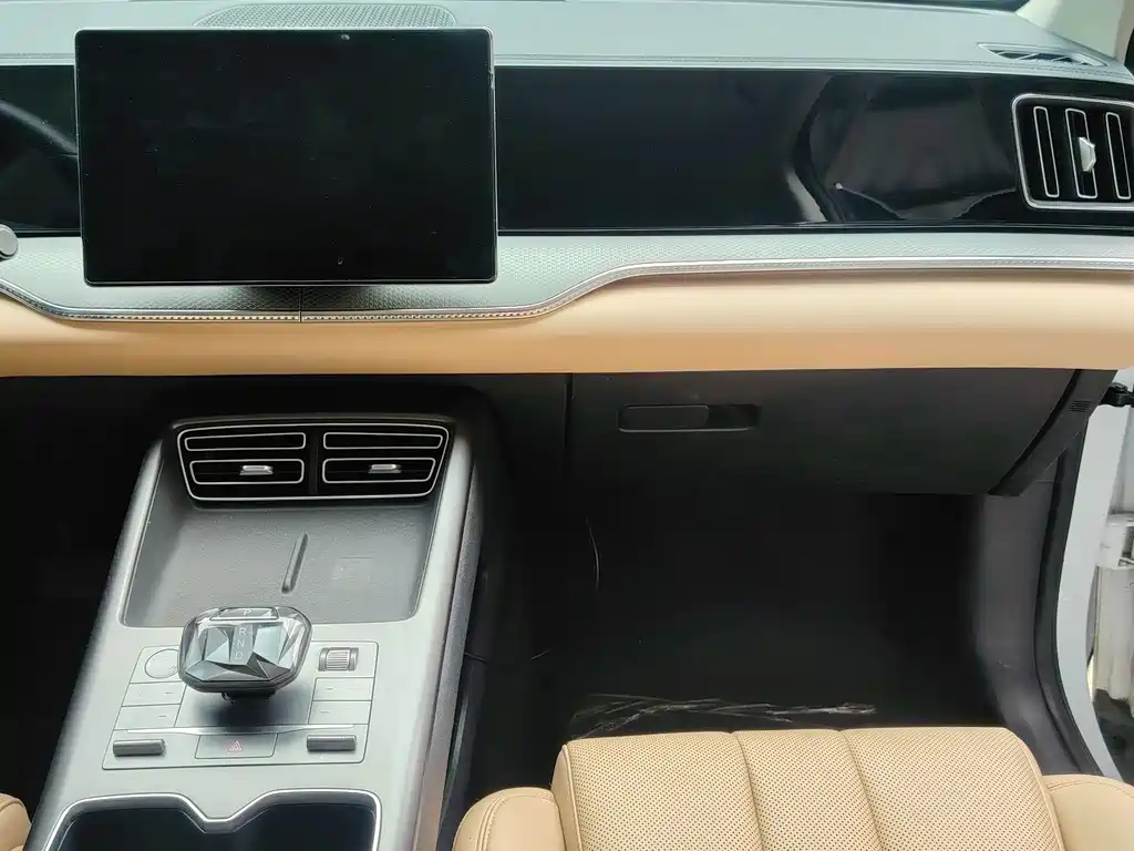 BYD Pro New Energy - фото 13