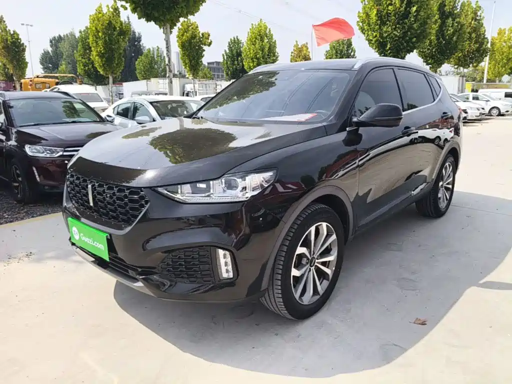 Wey Wey VV6 — миниатюра 2