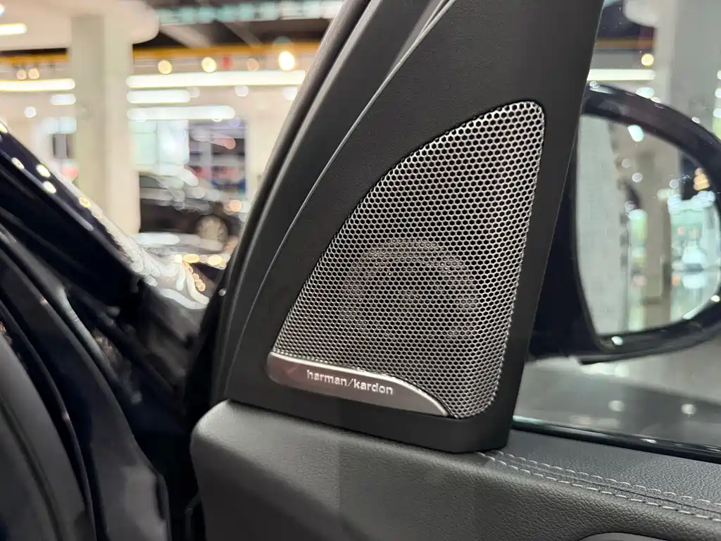 BMW X5 — миниатюра 13