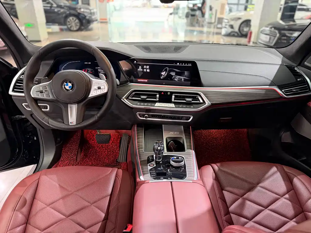 BMW X5 — миниатюра 10
