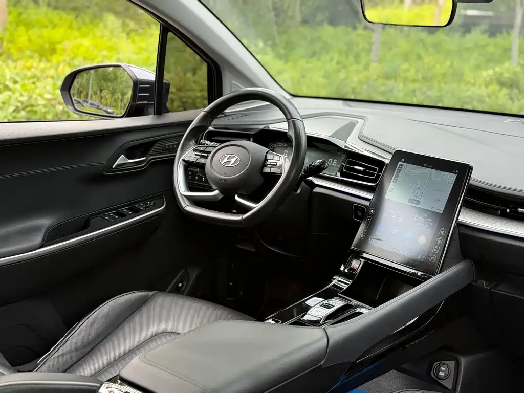 Hyundai Custo — миниатюра 12