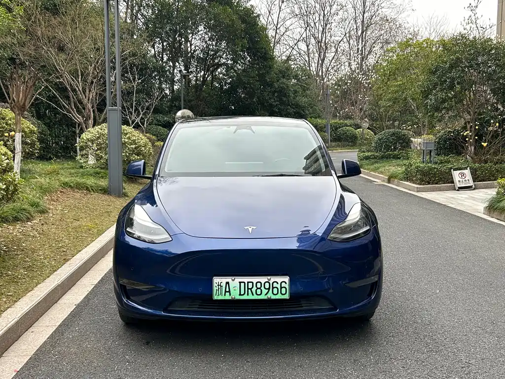 TESLA MODEL Y