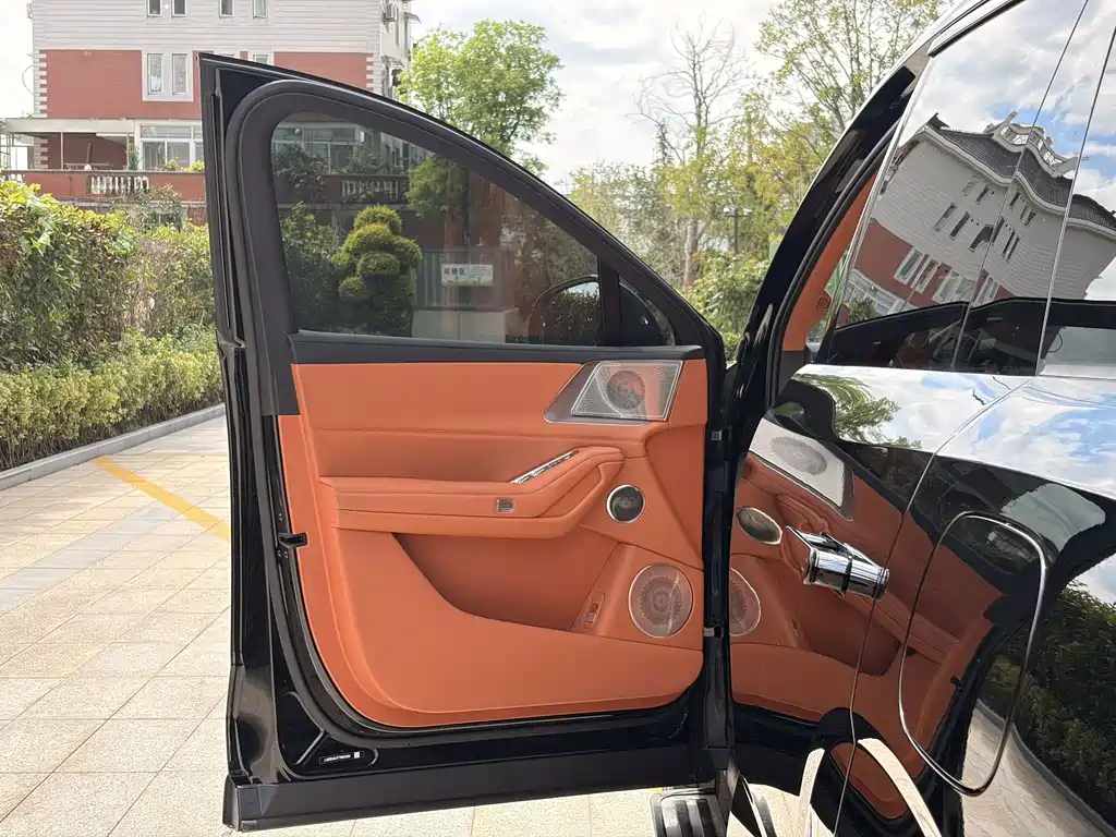Denza Zoom N8L — миниатюра 10