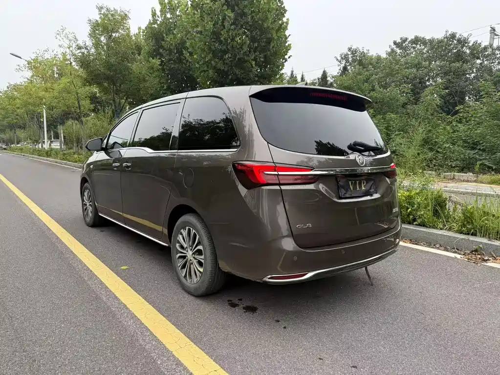 Buick GL8 — миниатюра 6