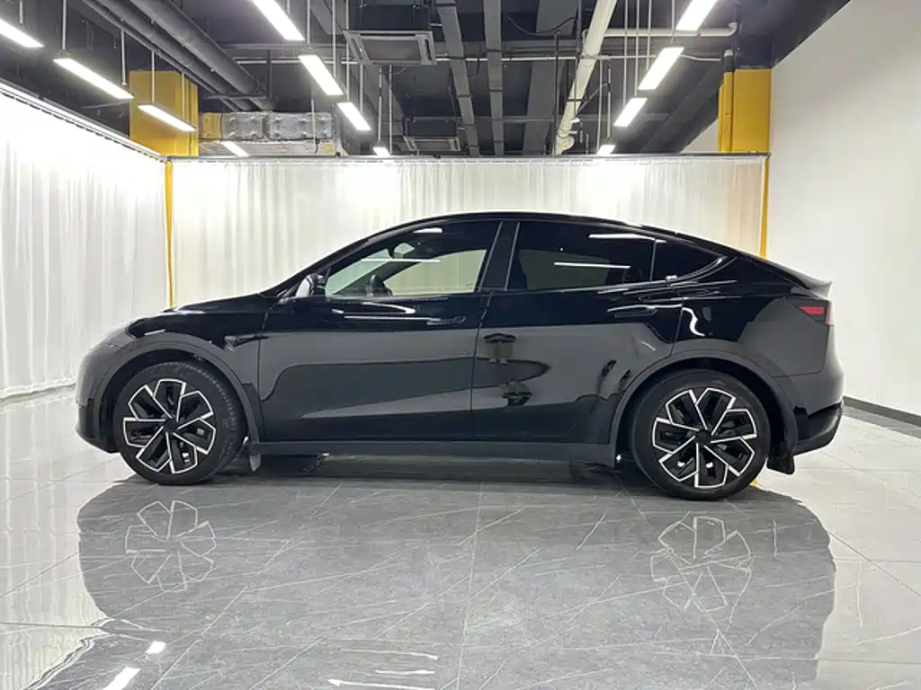 Tesla Model Y — миниатюра 3