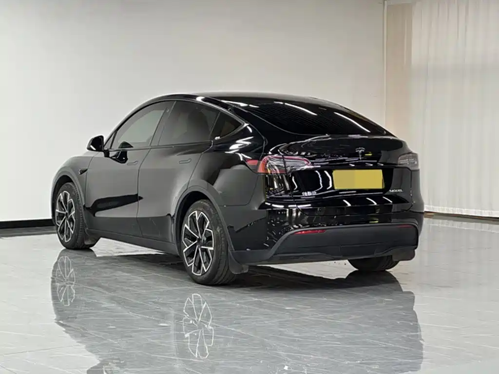 Tesla Model Y — миниатюра 4