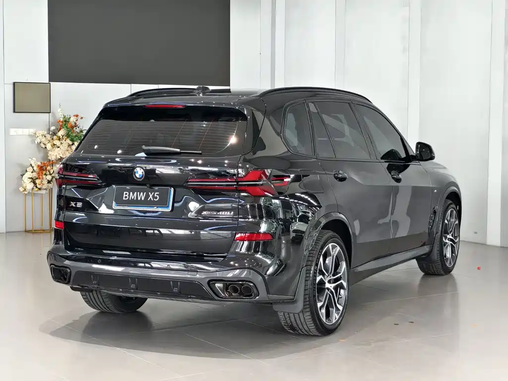 BMW X5 — миниатюра 3