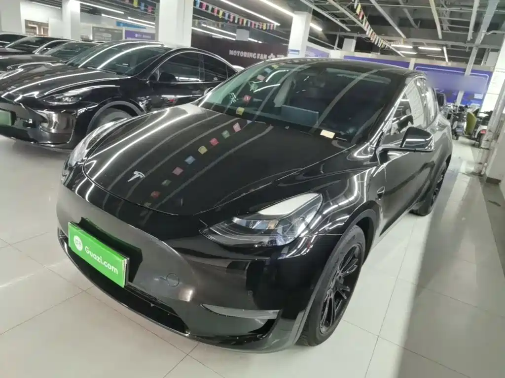 Tesla Model Y — миниатюра 2