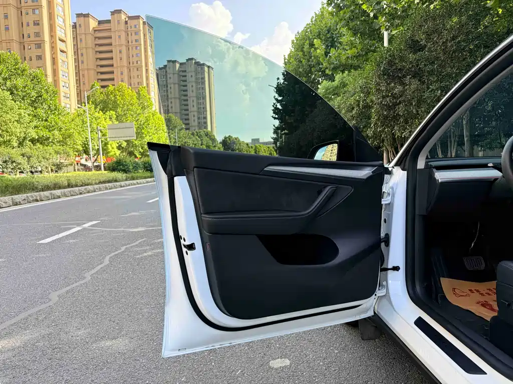 Tesla Model Y — миниатюра 6