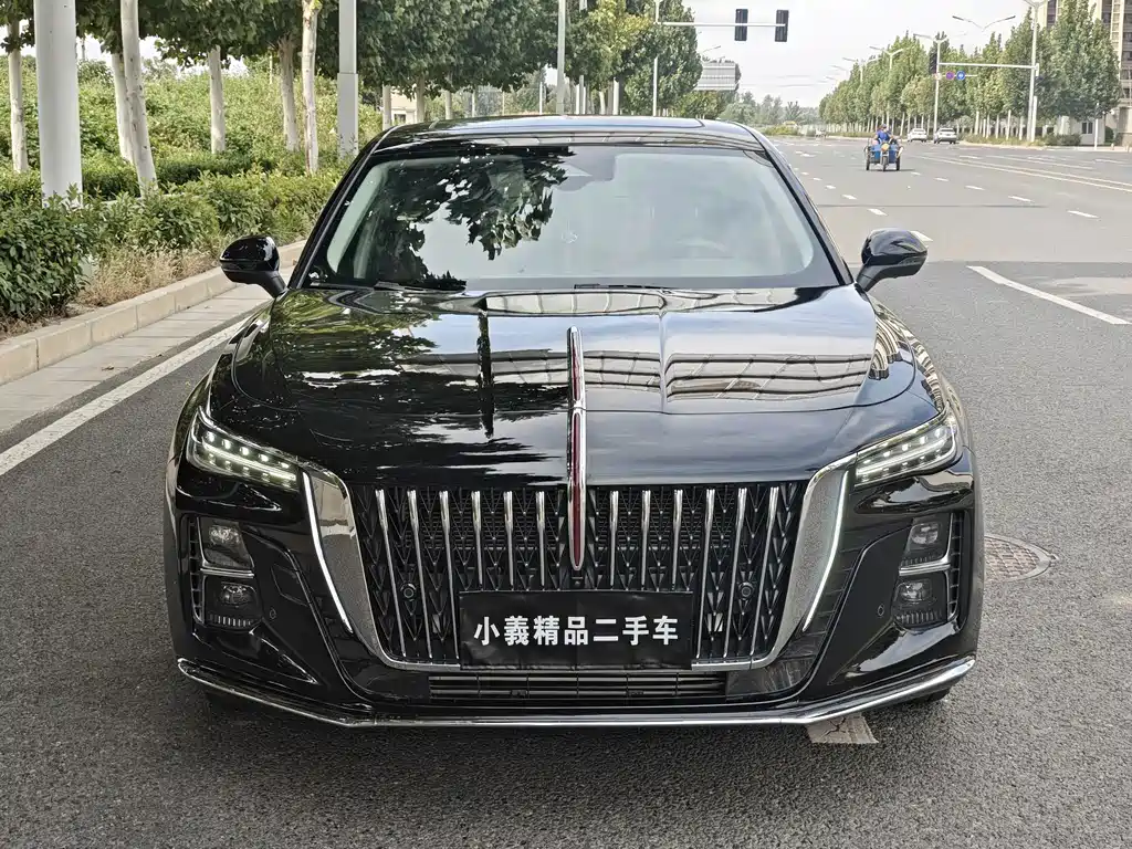 Hongqi Hongqi H5 — миниатюра 2