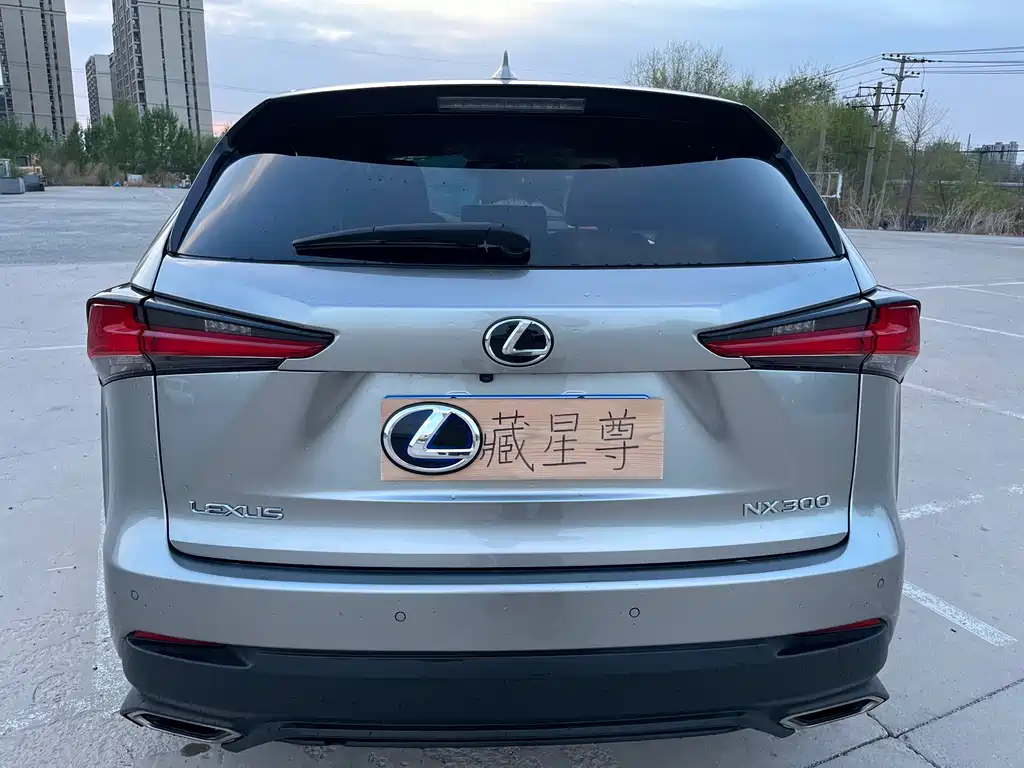 Lexus NX — миниатюра 9