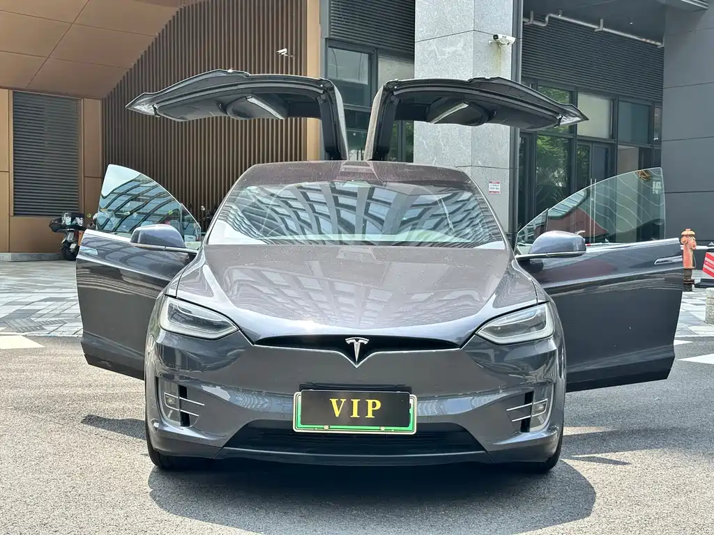 Tesla Model X — миниатюра 24