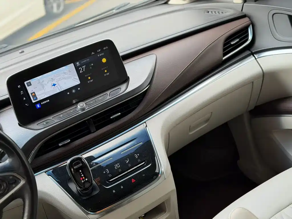 Buick GL8 — миниатюра 14