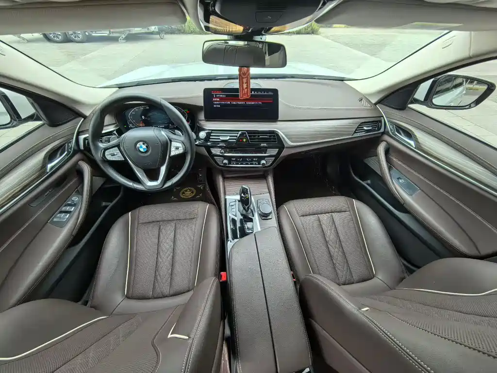 BMW 5 Series 5 2021 530Li Lead Luxury