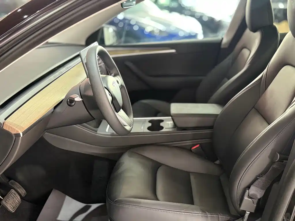 Tesla Model Y — миниатюра 7
