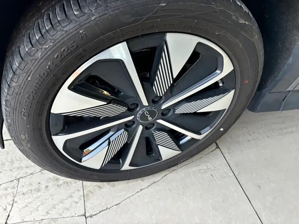 BYD SONGJIANG NEW ENERGY