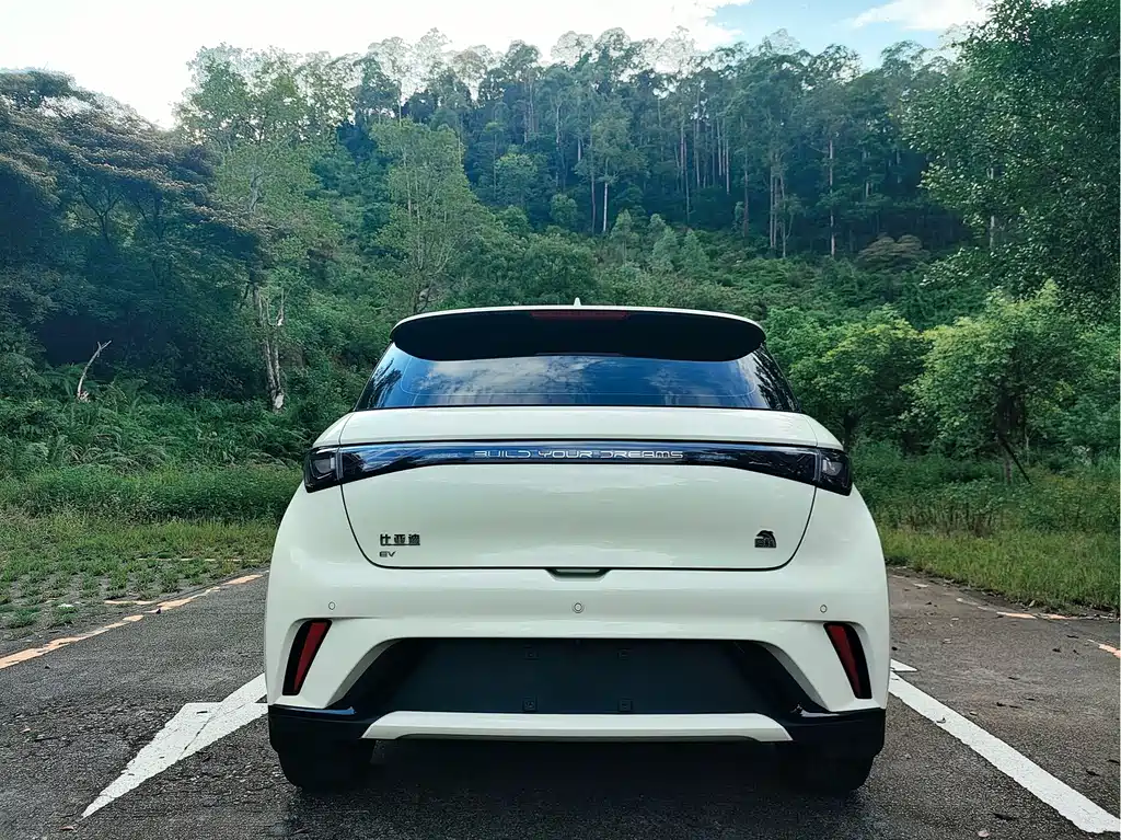 BYD Dolphin — миниатюра 8