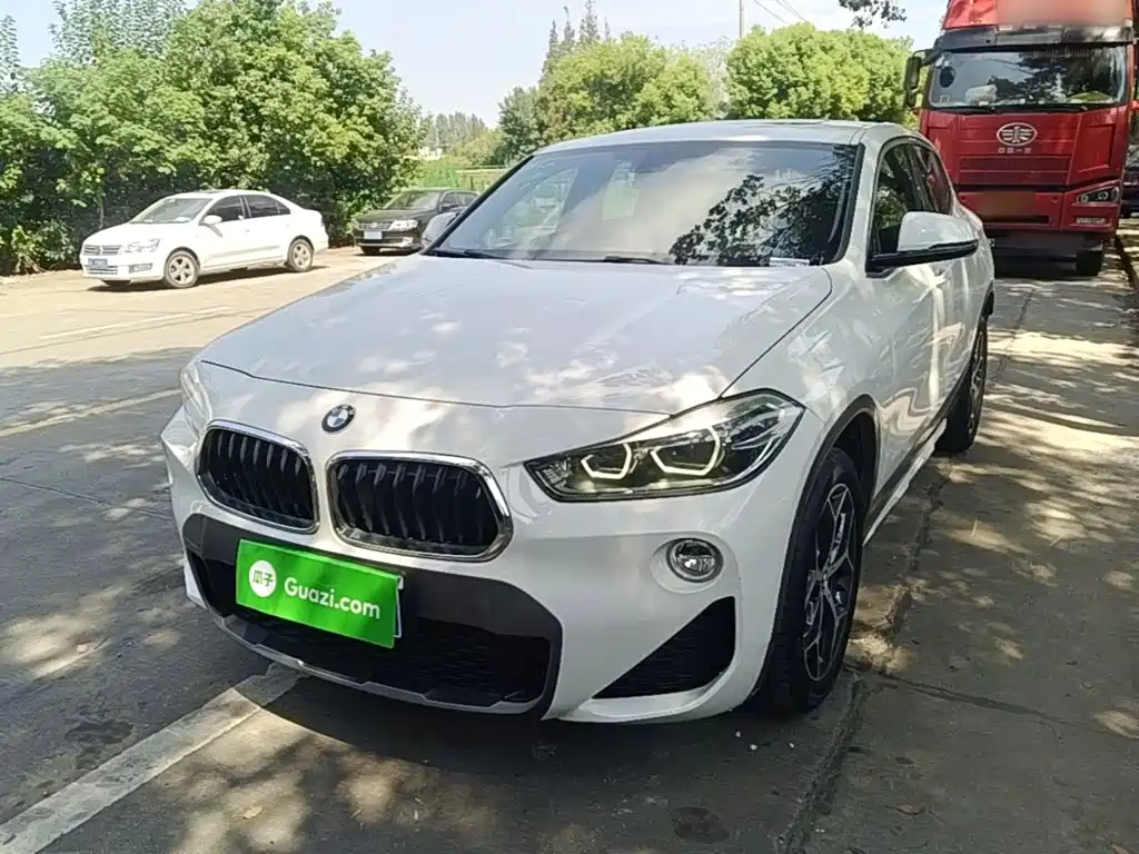 BMW X2 (Import) — миниатюра 2