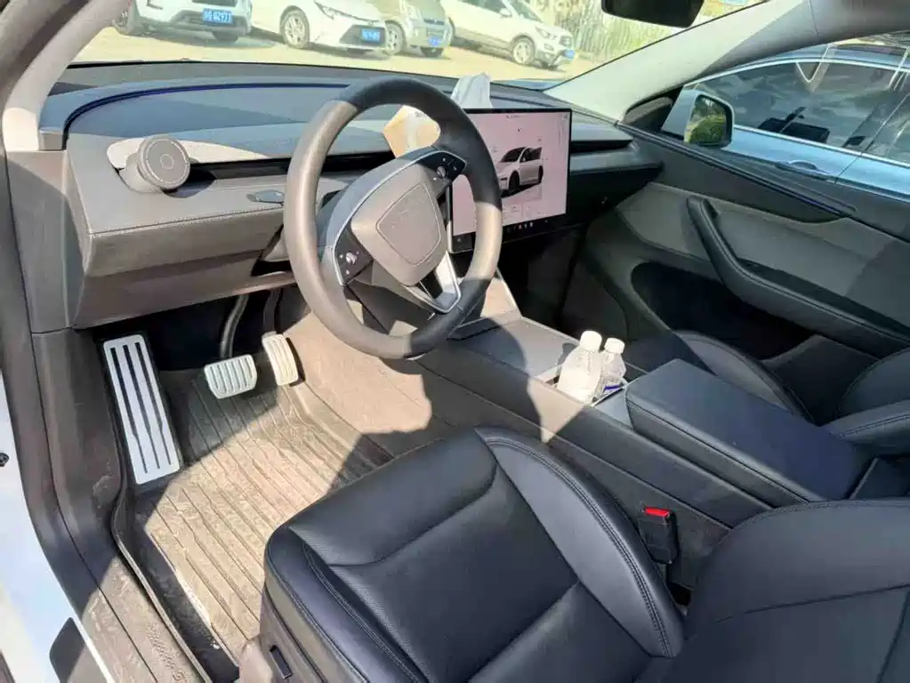 Tesla Model Y — миниатюра 2
