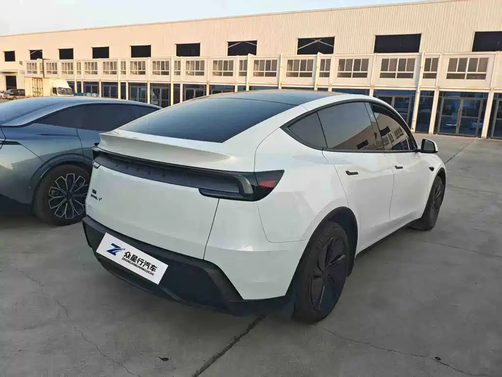 Tesla Model Y — миниатюра 10