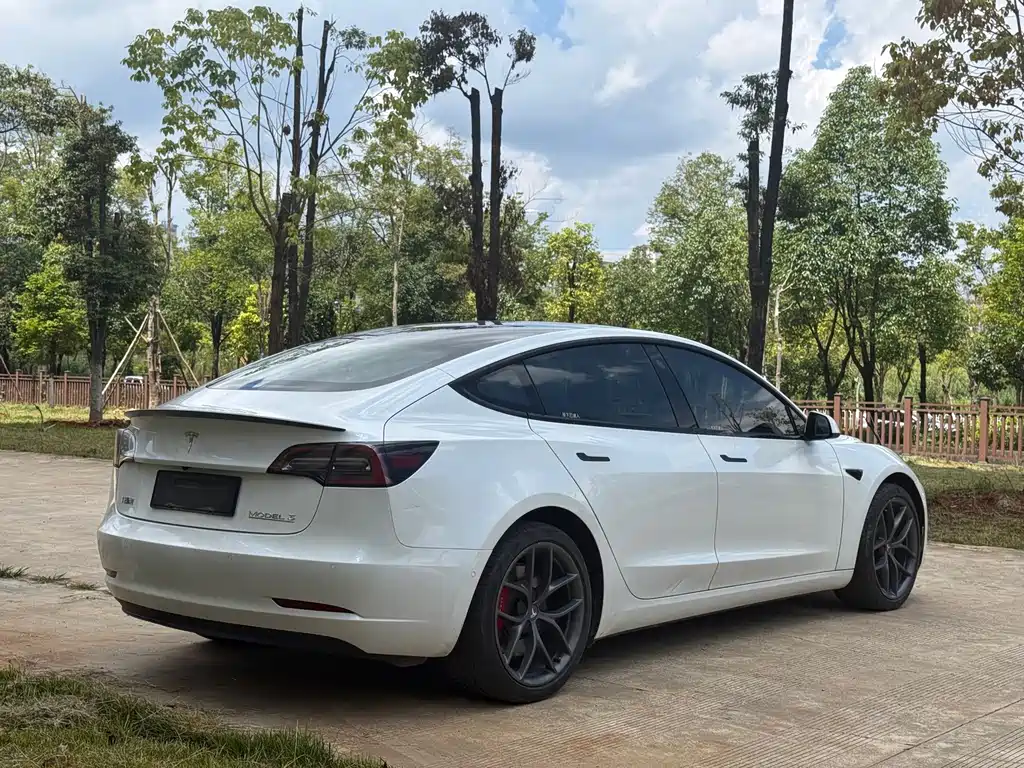 Tesla Model 3 — миниатюра 7