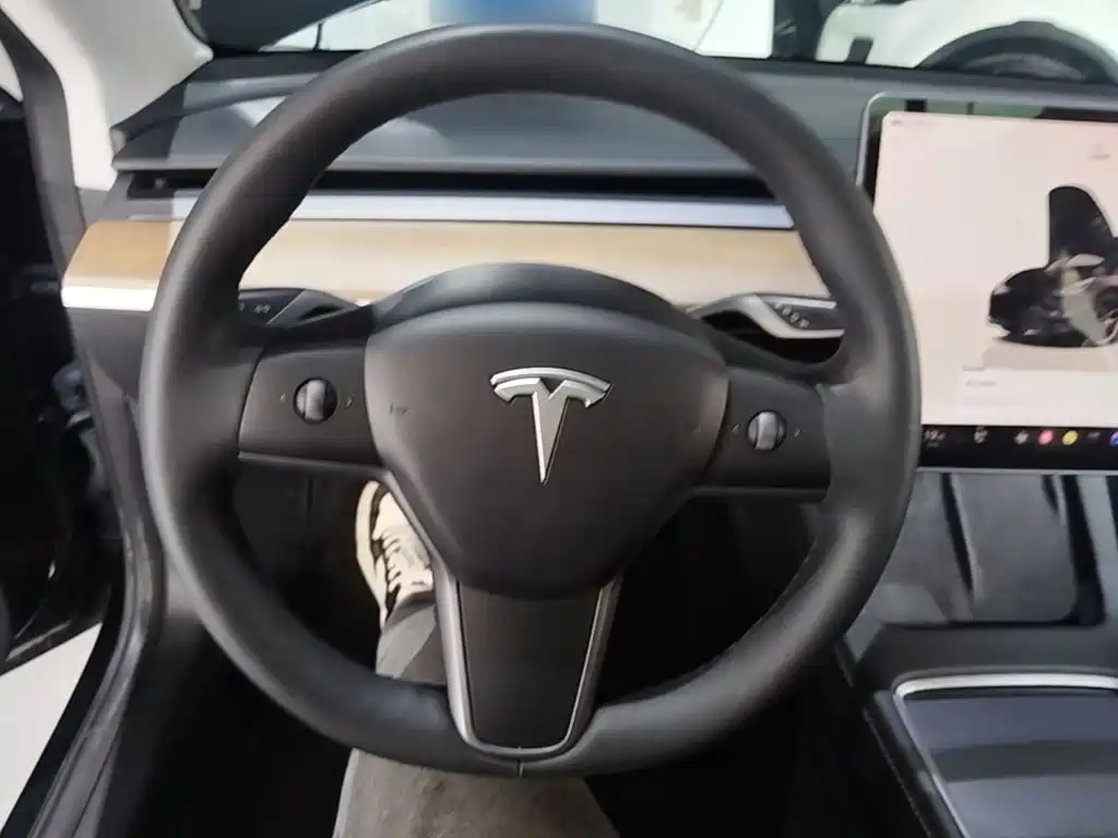 Tesla Model 3 — миниатюра 11