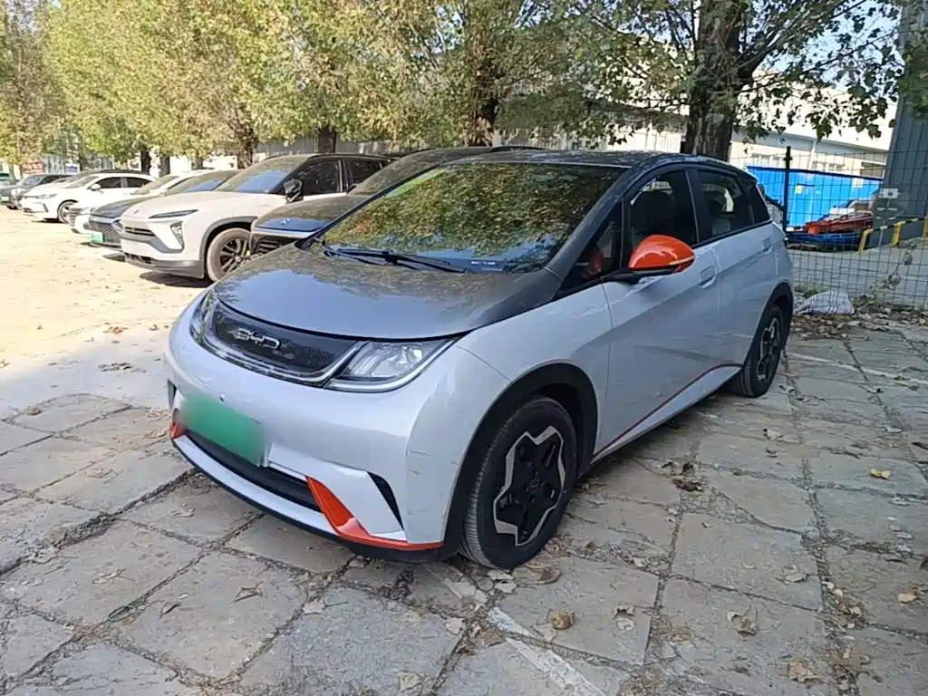 BYD Dolphin — миниатюра 2