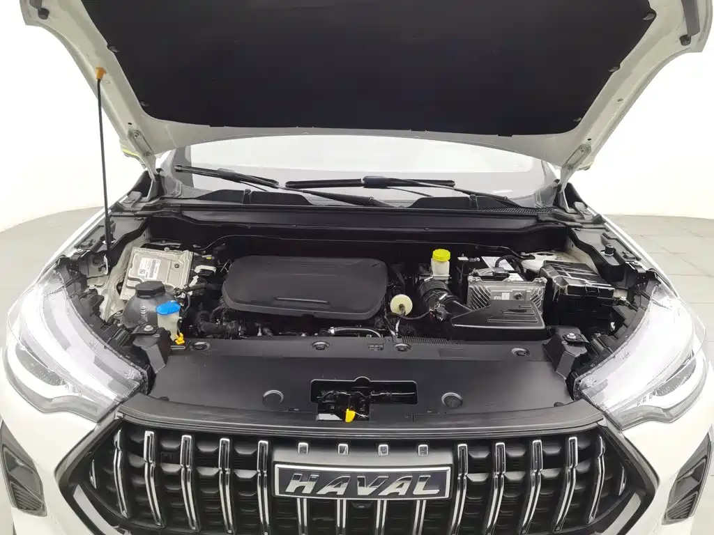 Haval Chitu — миниатюра 6