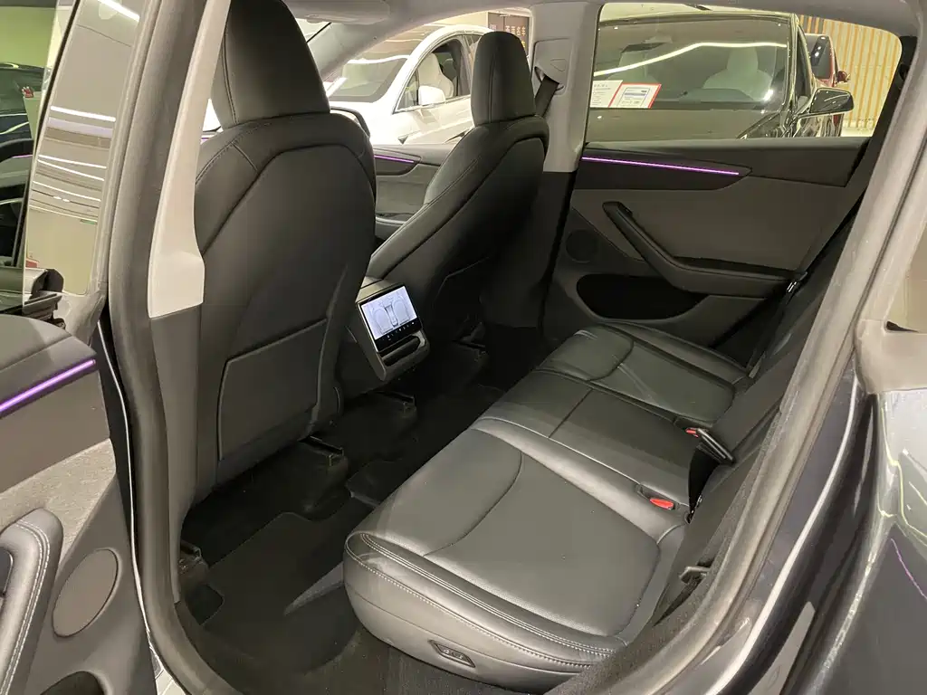 Tesla Model Y — миниатюра 9