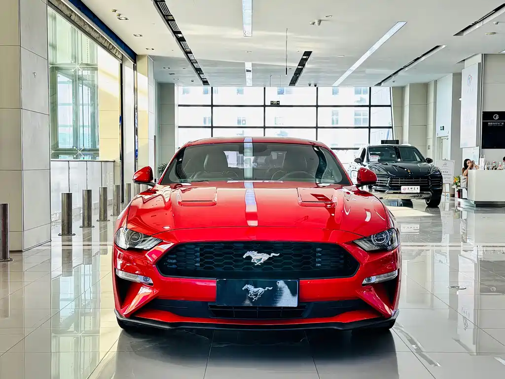 Ford Mustang — миниатюра 10