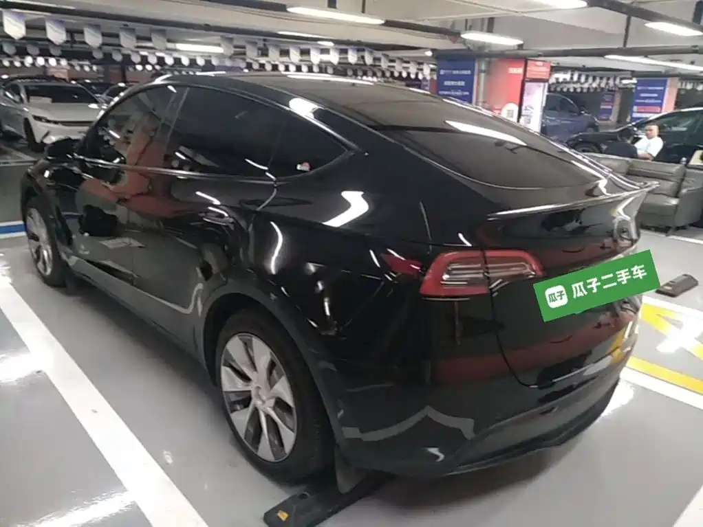 Tesla Model Y — миниатюра 5