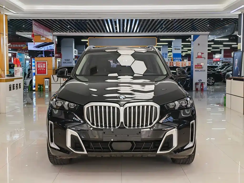 BMW X5 — миниатюра 2