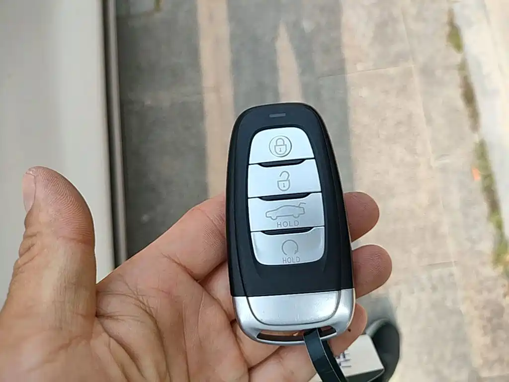 Hongqi E-HS9 2022 660km мест