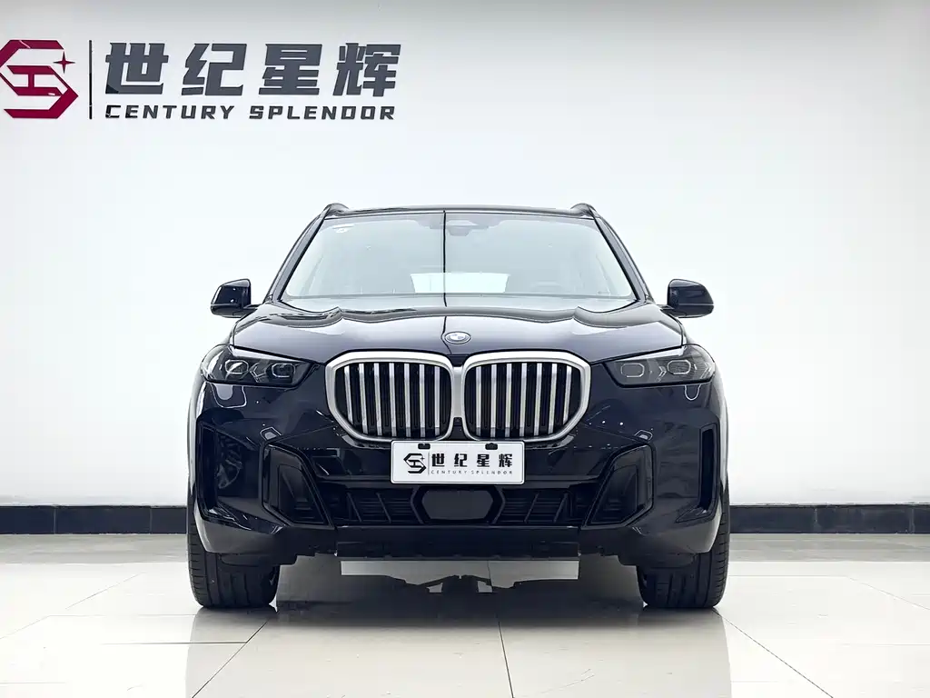 BMW X5 — миниатюра 5