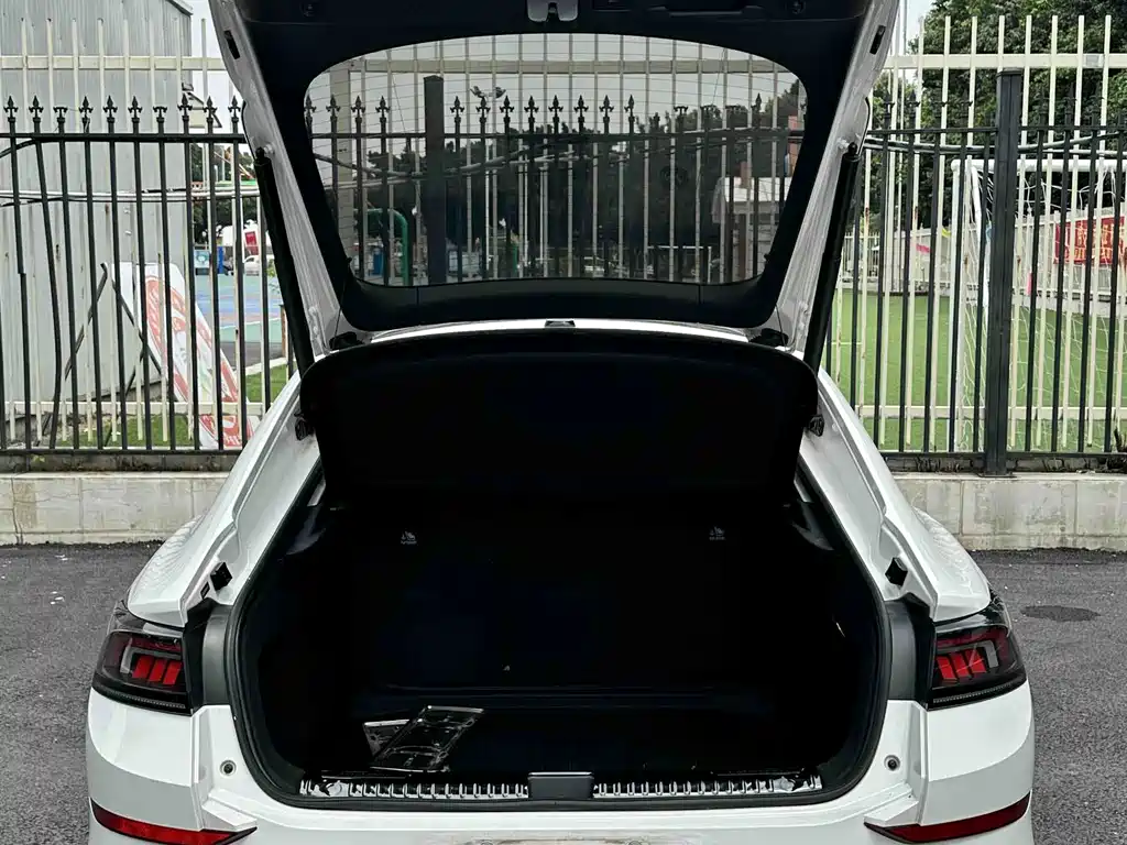 Volkswagen Lamando — миниатюра 7