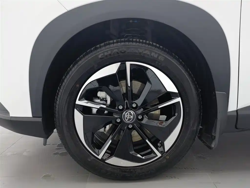 TOYOTA PLATINUM WISDOM 3X