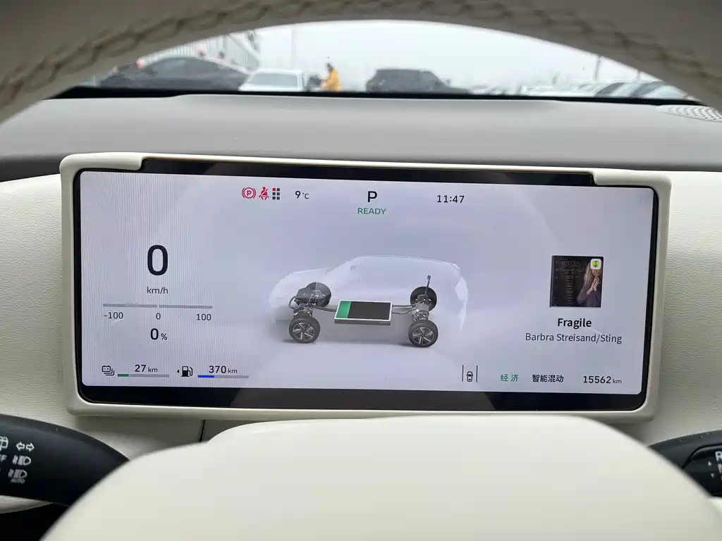 WEI PAI WEI BRAND BLUE MOUNTAIN