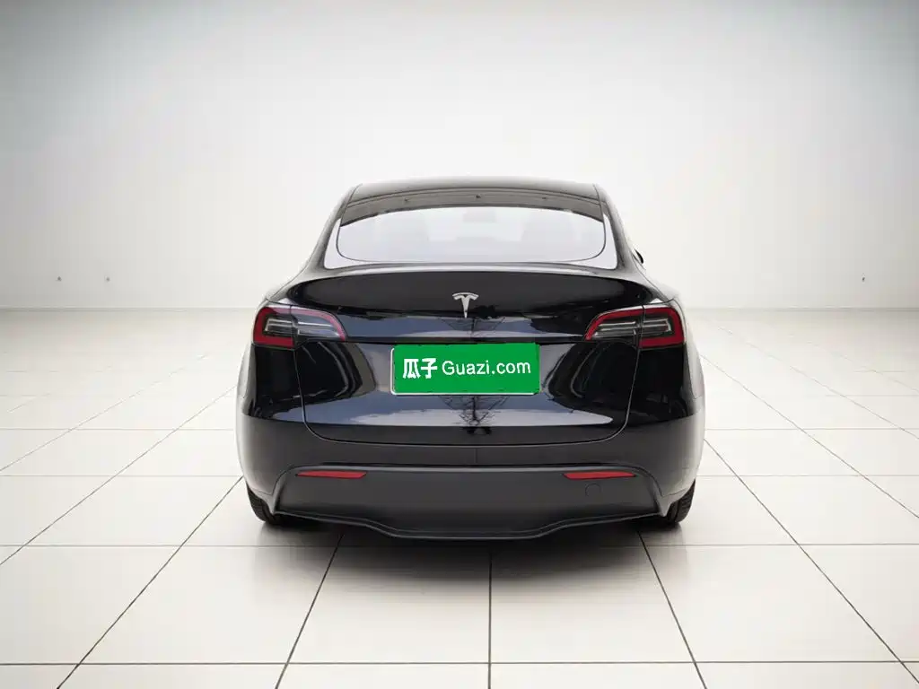 Tesla Model Y — миниатюра 5