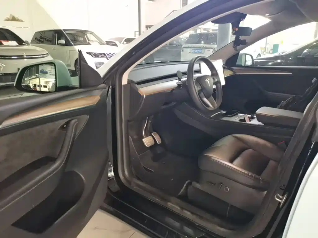 Tesla Model Y — миниатюра 16