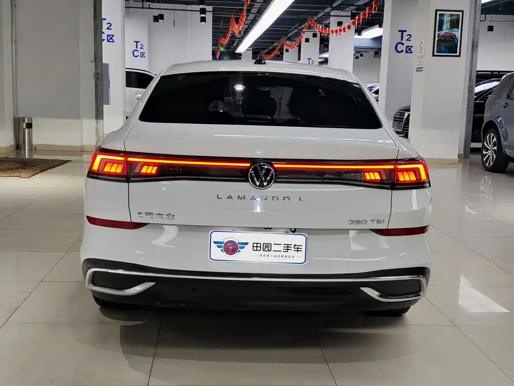 Volkswagen Lamando — миниатюра 5