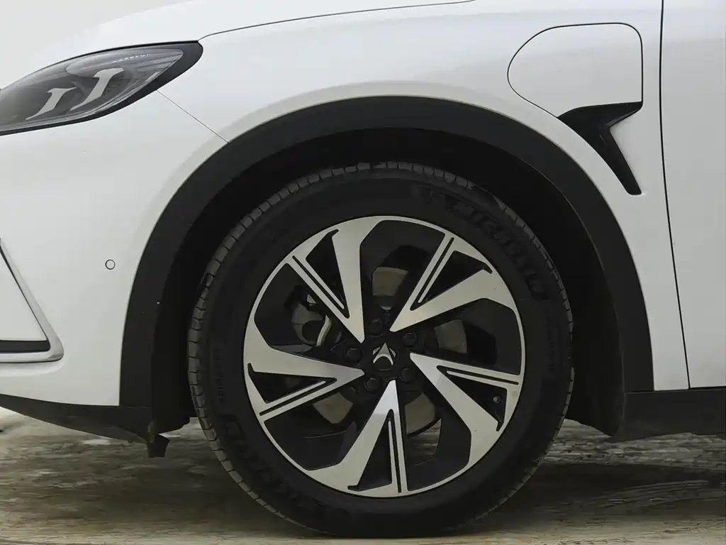 ARCFOX EXTREME FOX POLAR FOX ALPHA S