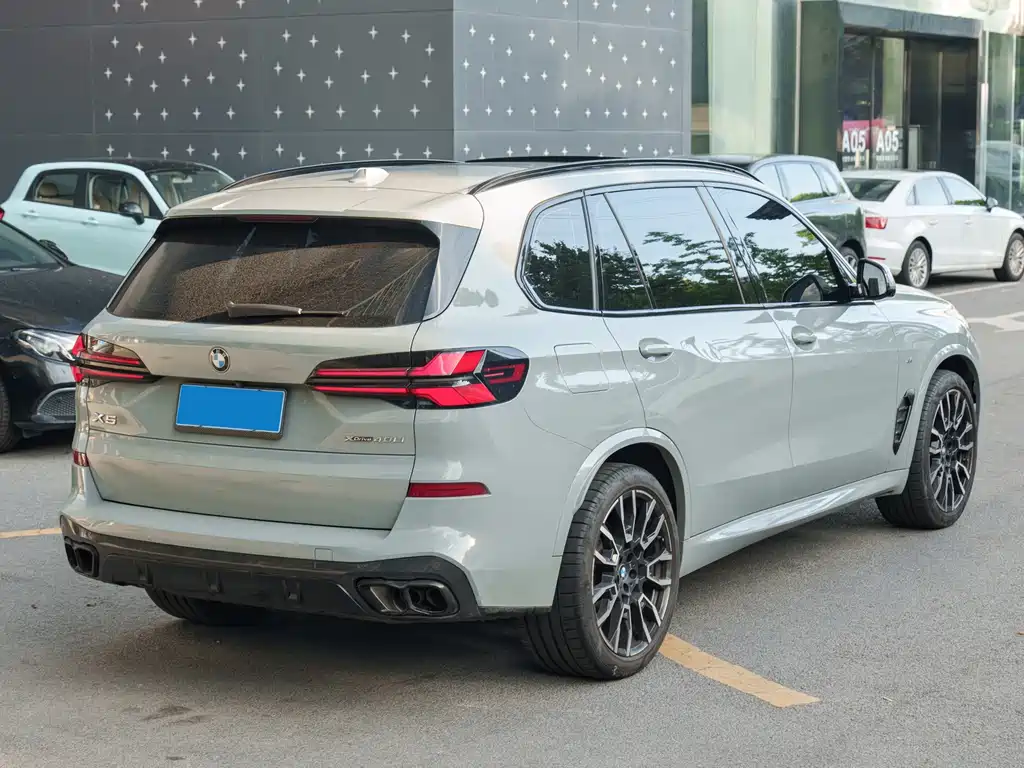 BMW X5 — миниатюра 5