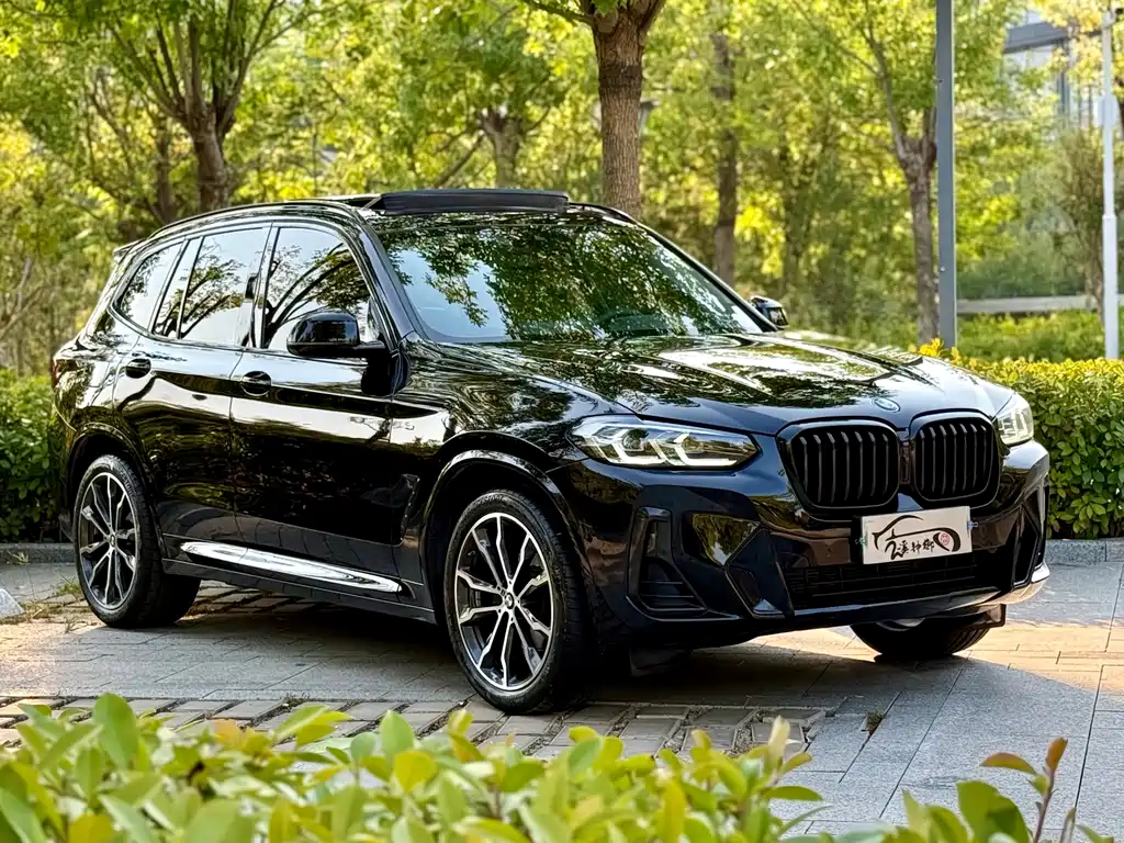BMW X3 — миниатюра 2