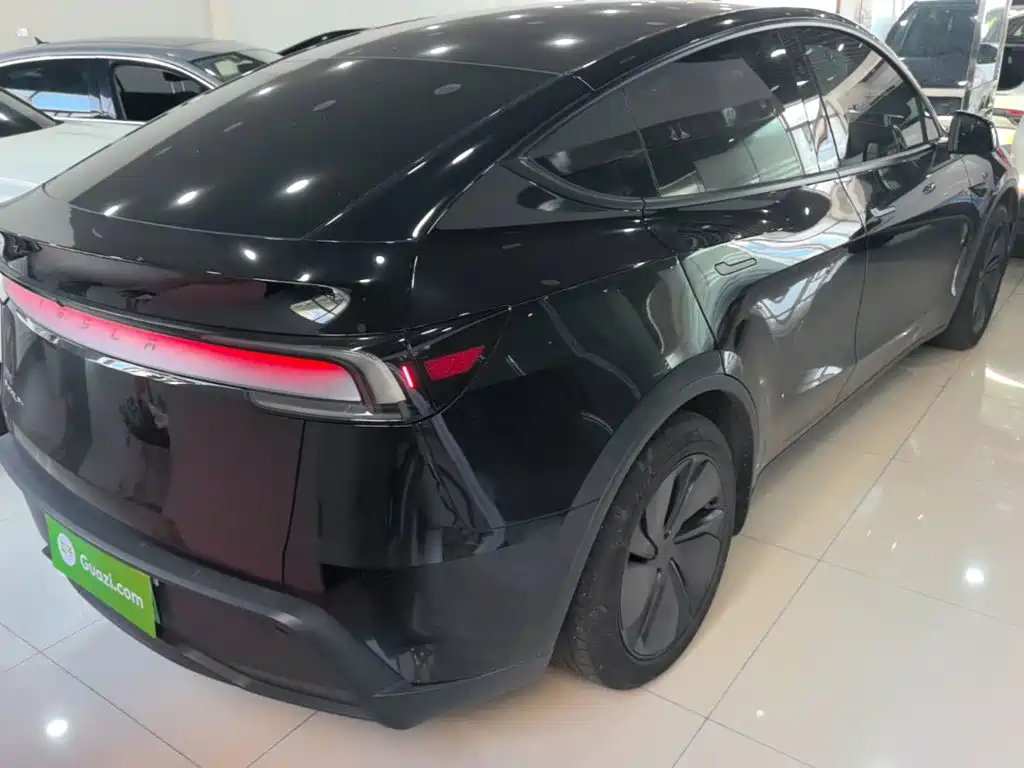 Tesla Model Y — миниатюра 7