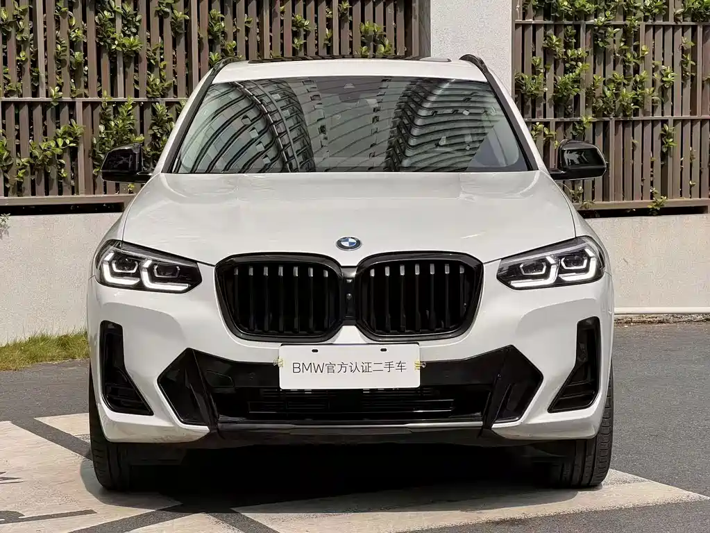 BMW X3 — миниатюра 2