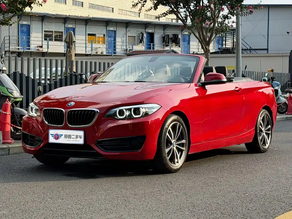 BMW 2 Series (Import)