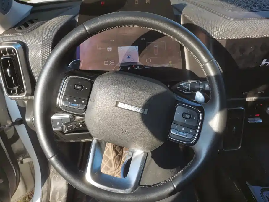 Haval Big Dog — миниатюра 15