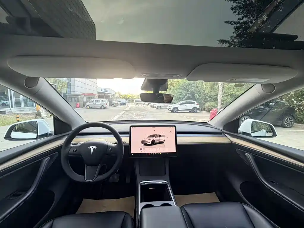 Tesla Model Y — миниатюра 8