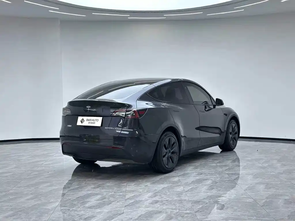 Tesla Model Y — миниатюра 6